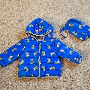 Baby Boy dinosaur jacket 💙 3-6M